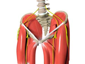 Muscle Strains