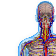 Thoracic Outlet Syndrome